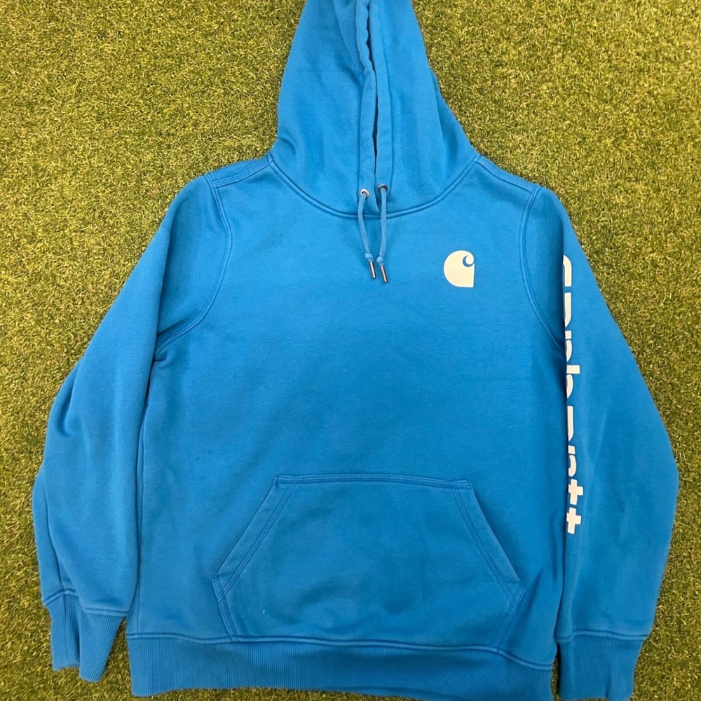 Carhartt Mens Blue Sleeve Graphic Logo Pullover Hoodie‎ Sweatshirt R5L3 BR18